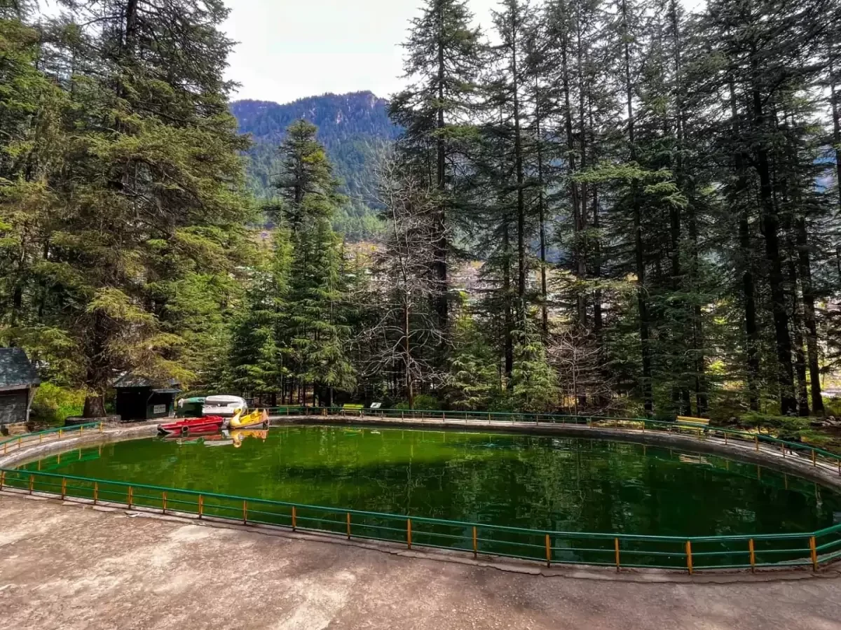 Green surroundings and cedar trees at Van Vihar in Manali